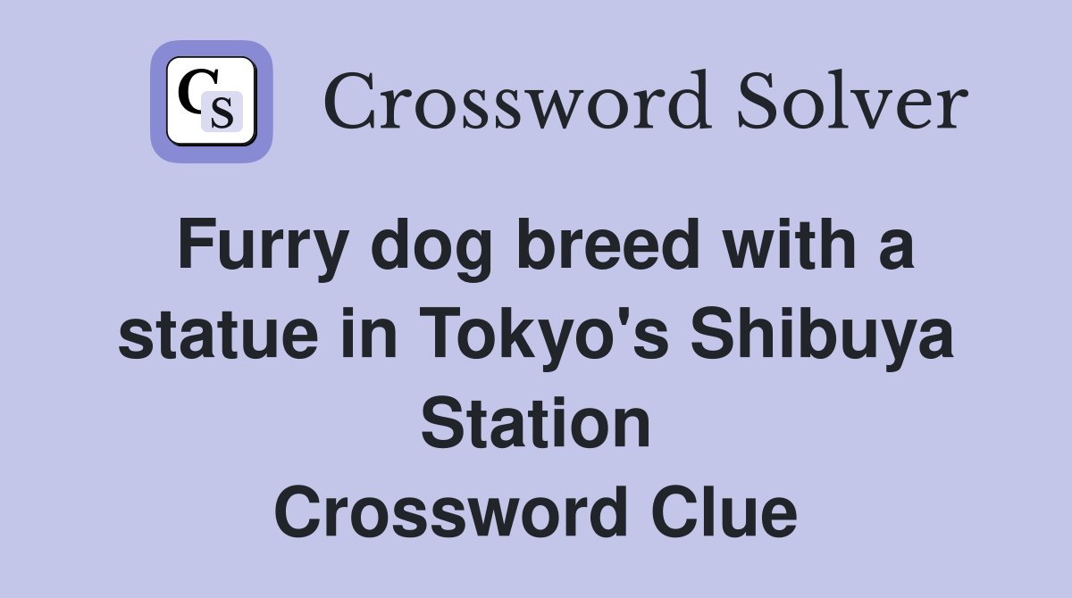 Furry dog breed with a statue in Tokyo's Shibuya Station Crossword Clue