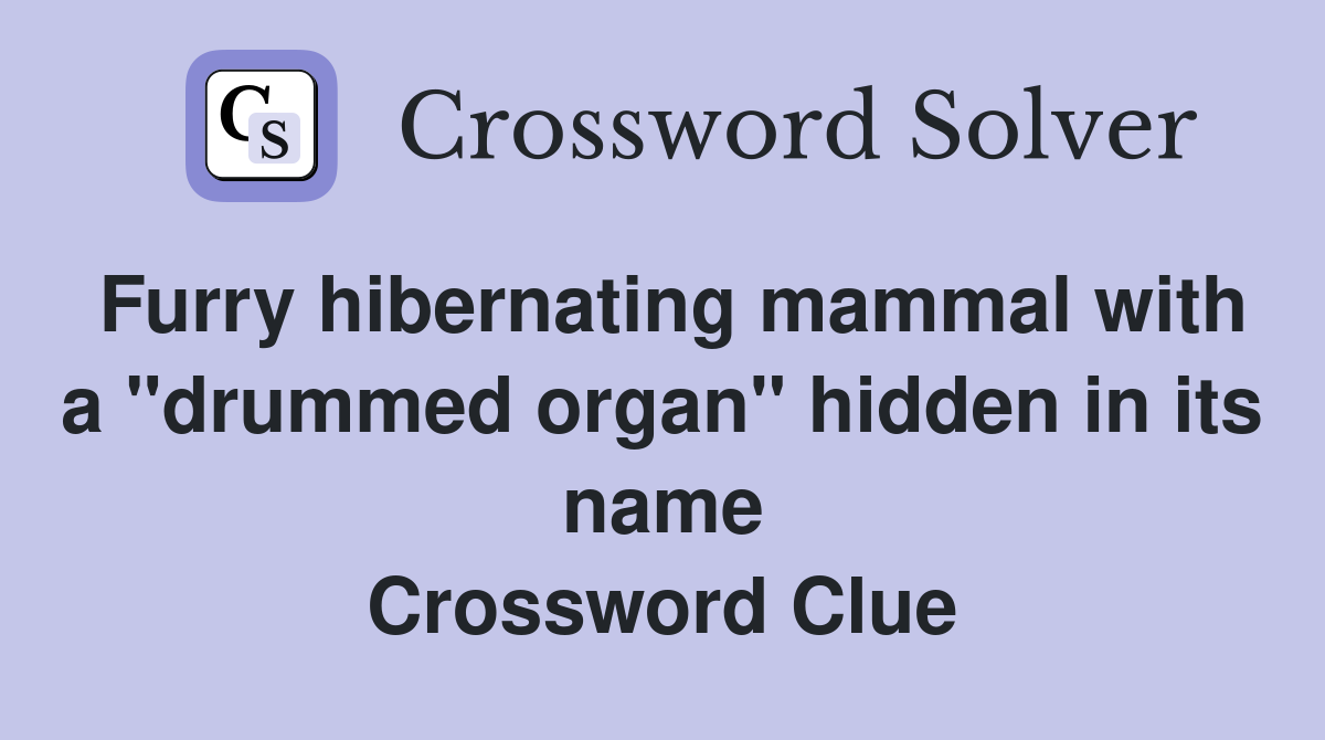 Furry hibernating mammal with a "drummed organ" hidden in its name Crossword Clue