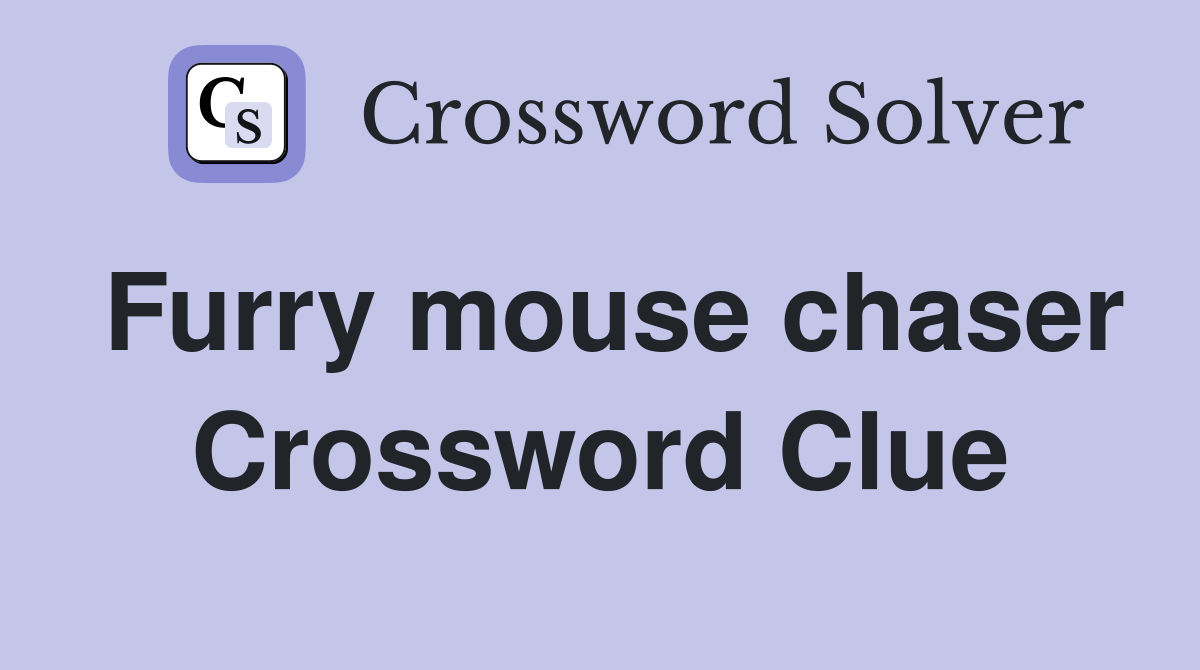 Furry mouse chaser Crossword Clue