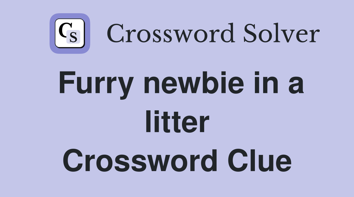 Furry newbie in a litter Crossword Clue