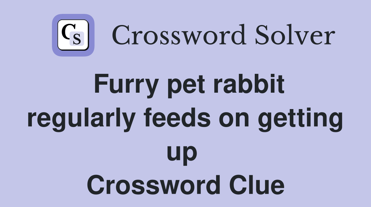 Furry pet rabbit regularly feeds on getting up  Crossword Clue