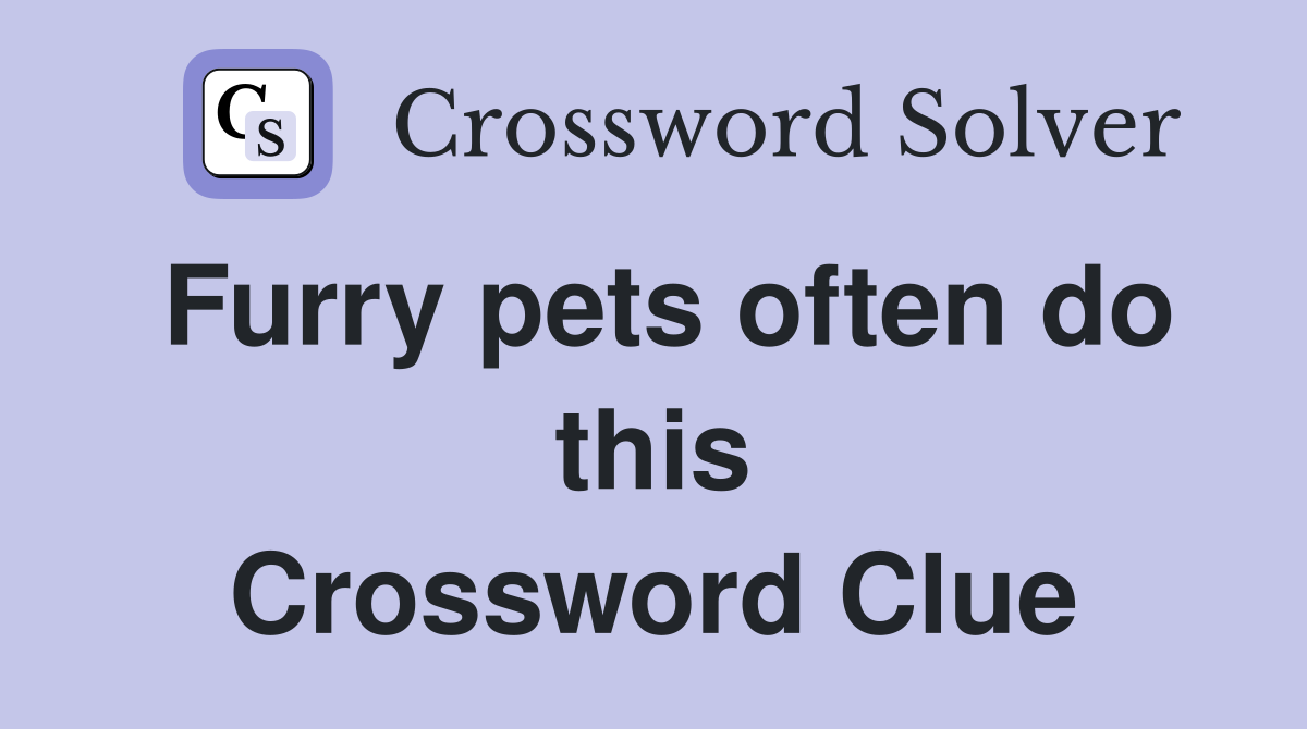 Furry pets often do this Crossword Clue