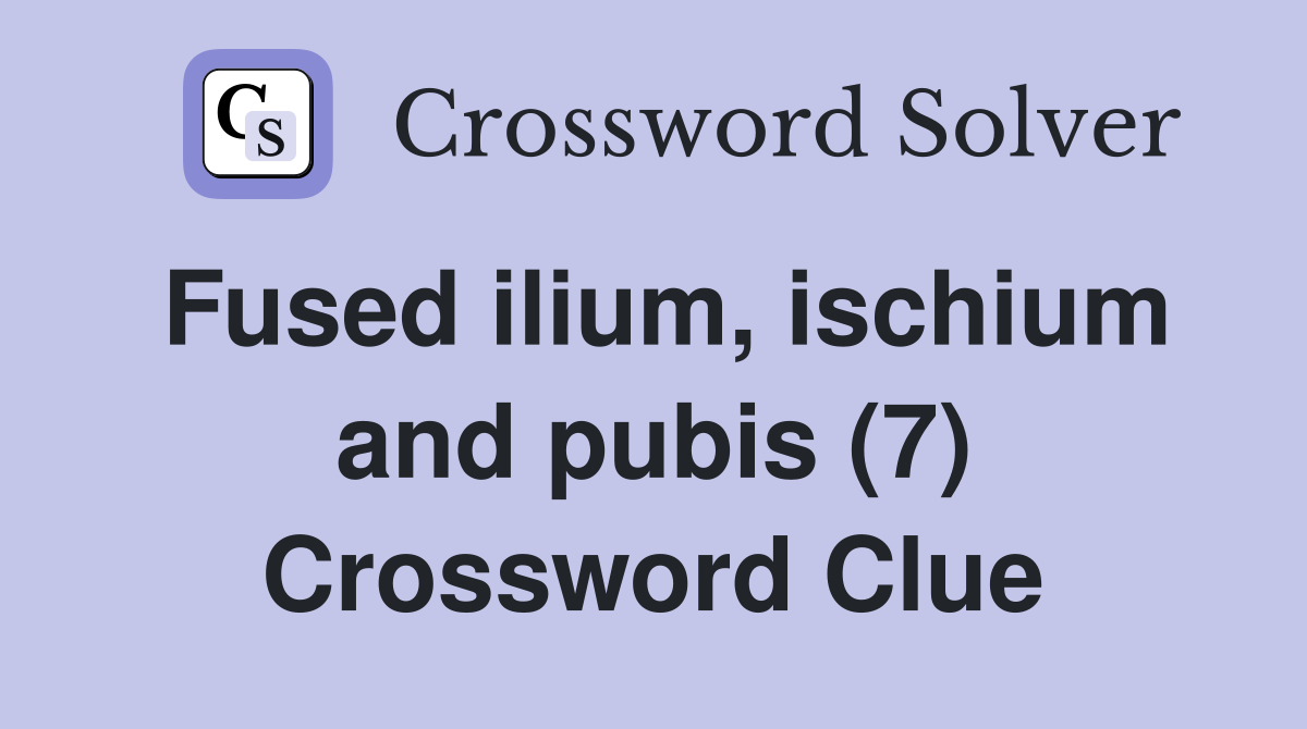 Fused ilium, ischium and pubis (7) Crossword Clue