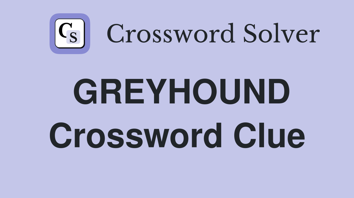 GREYHOUND Crossword Clue
