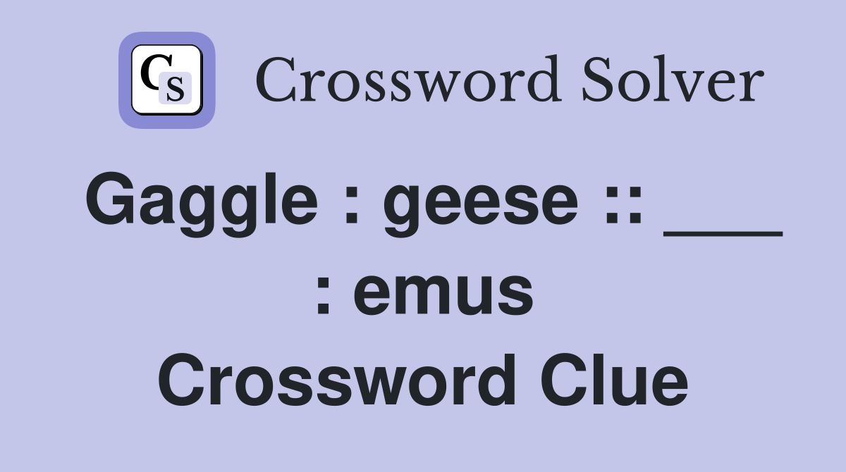 Gaggle : geese :: ___ : emus Crossword Clue
