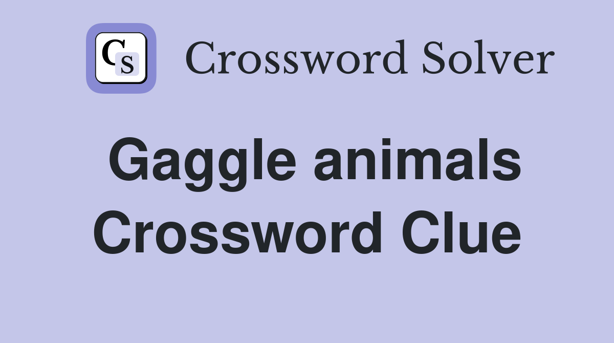 Gaggle animals Crossword Clue