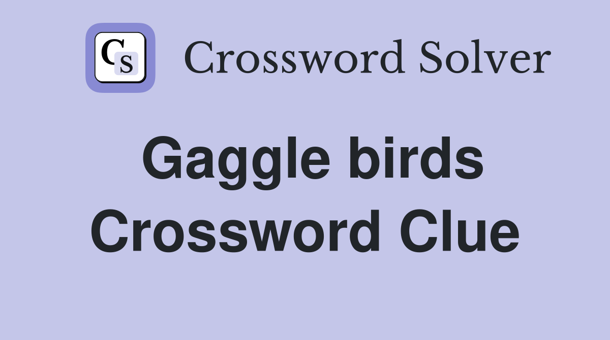 Gaggle birds Crossword Clue