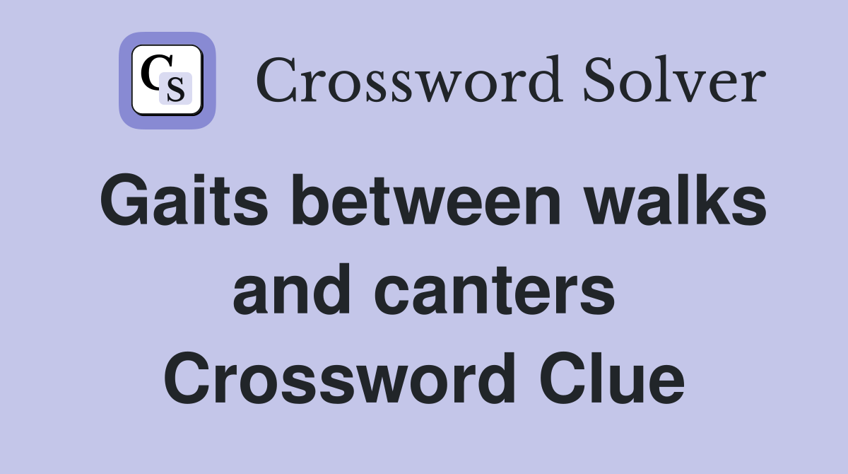 Gaits between walks and canters Crossword Clue