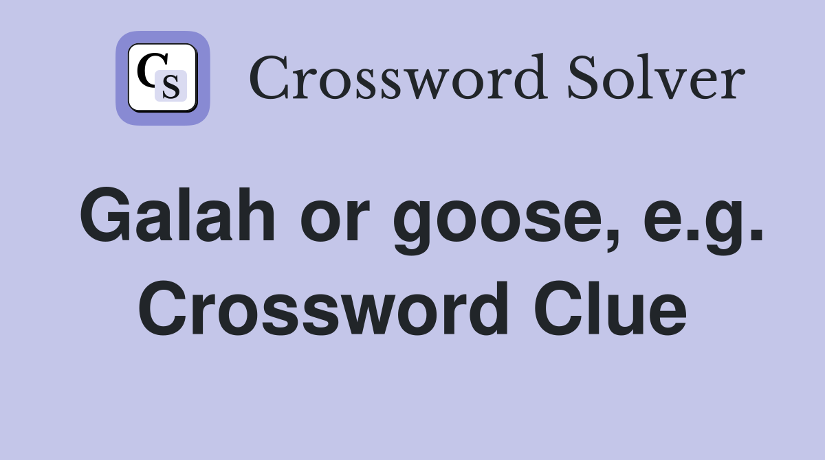Galah or goose, e.g. Crossword Clue