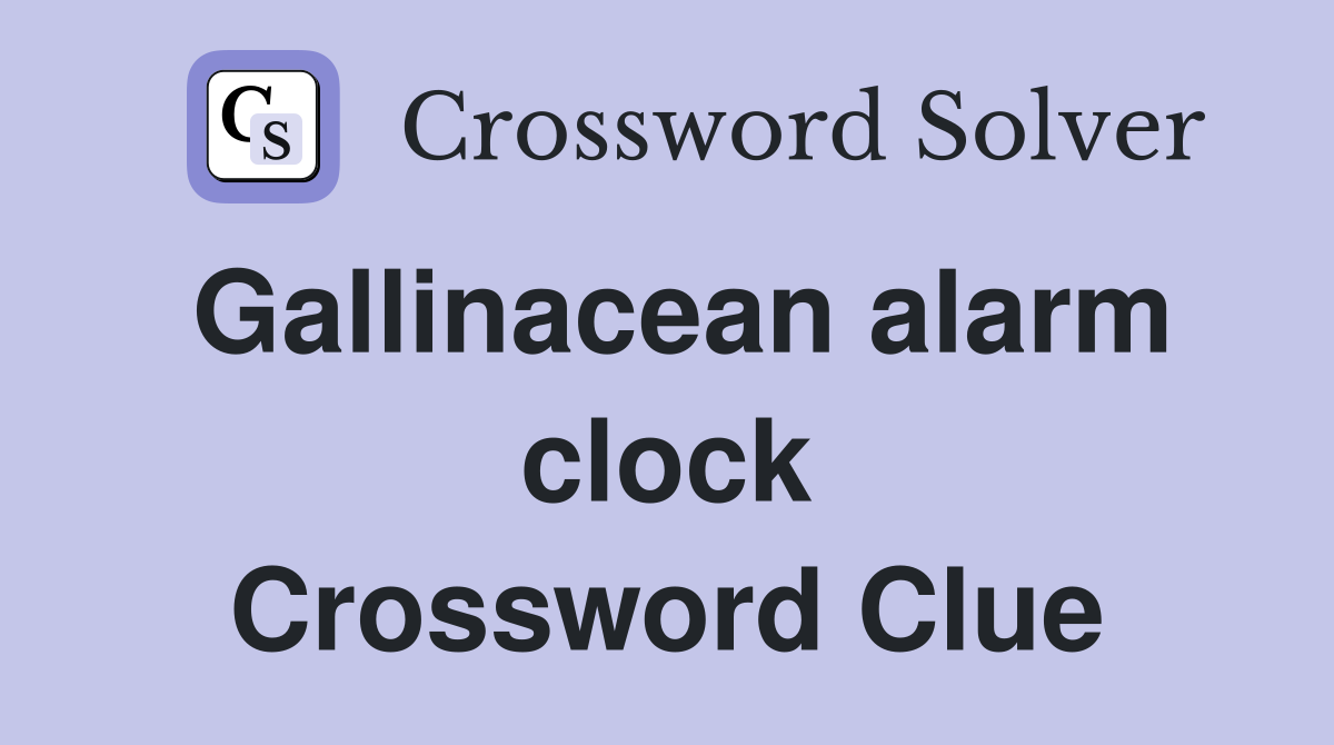 Gallinacean alarm clock Crossword Clue