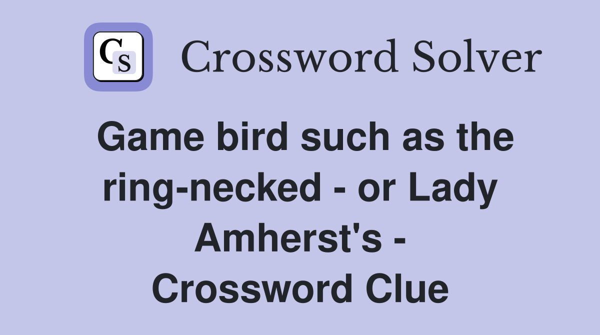 Game bird such as the ring-necked - or Lady Amherst's - Crossword Clue
