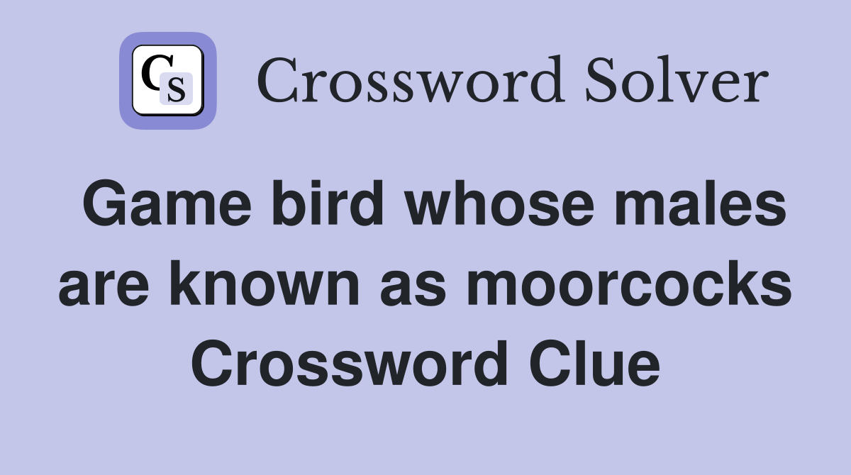 Game bird whose males are known as moorcocks Crossword Clue