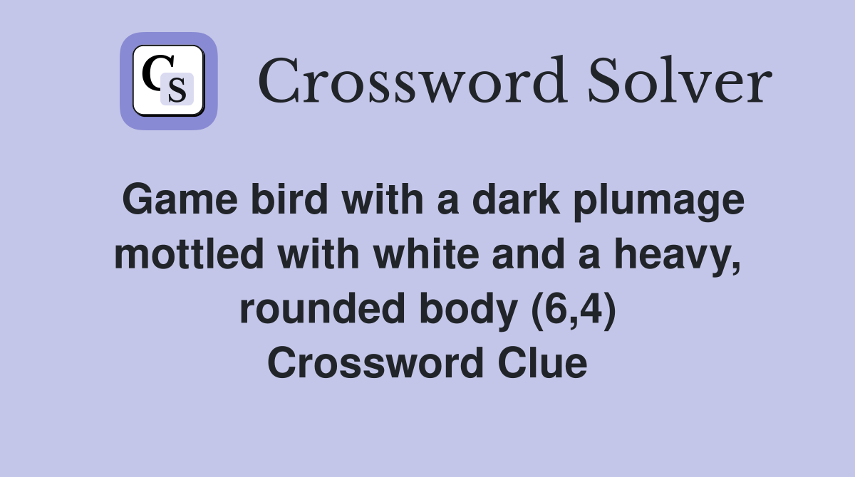 Game bird with a dark plumage mottled with white and a heavy, rounded body (6,4) Crossword Clue