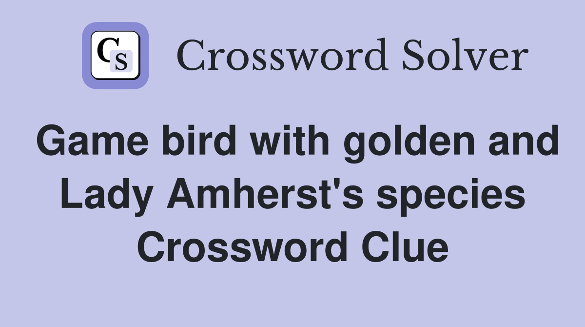Game bird with golden and Lady Amherst's species Crossword Clue