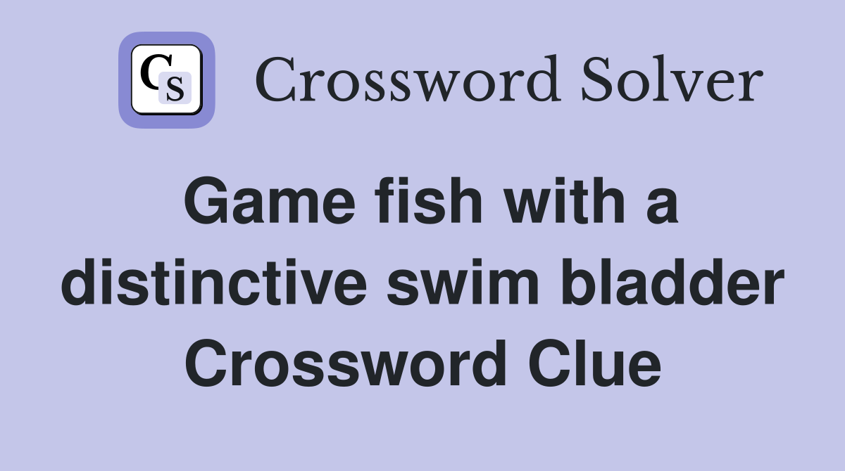 Game fish with a distinctive swim bladder Crossword Clue