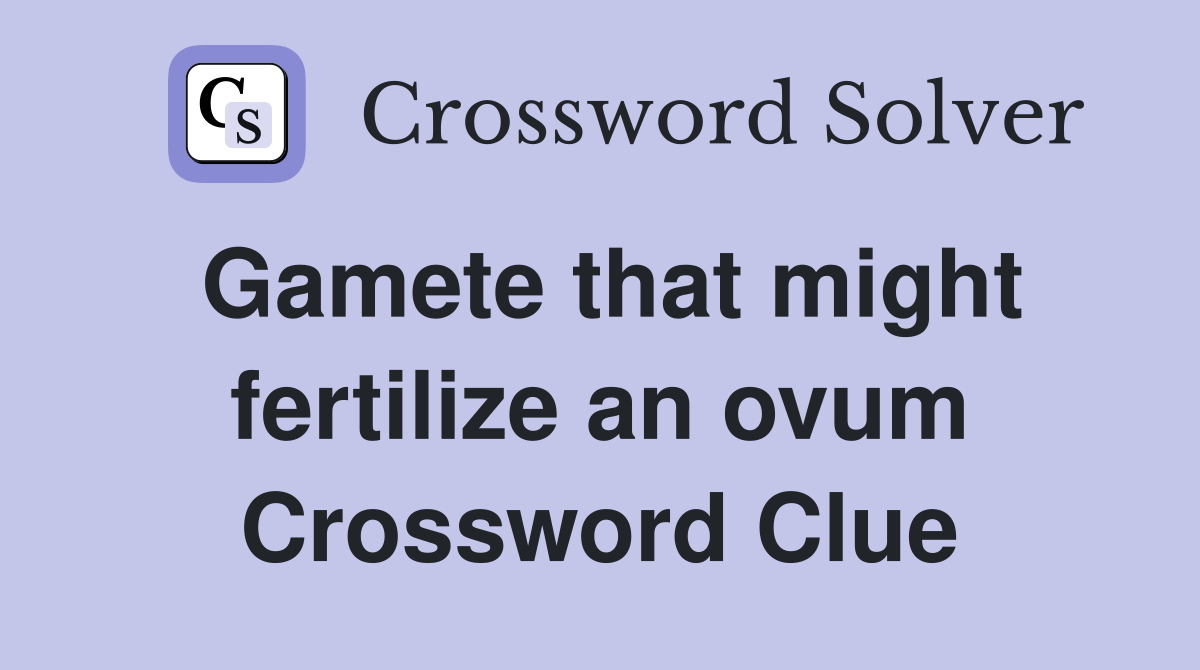 Gamete that might fertilize an ovum Crossword Clue