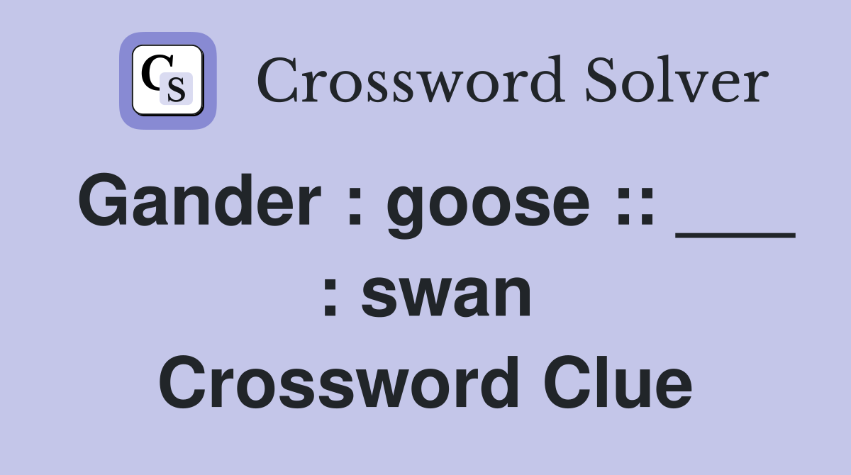 Gander : goose :: ___ : swan Crossword Clue