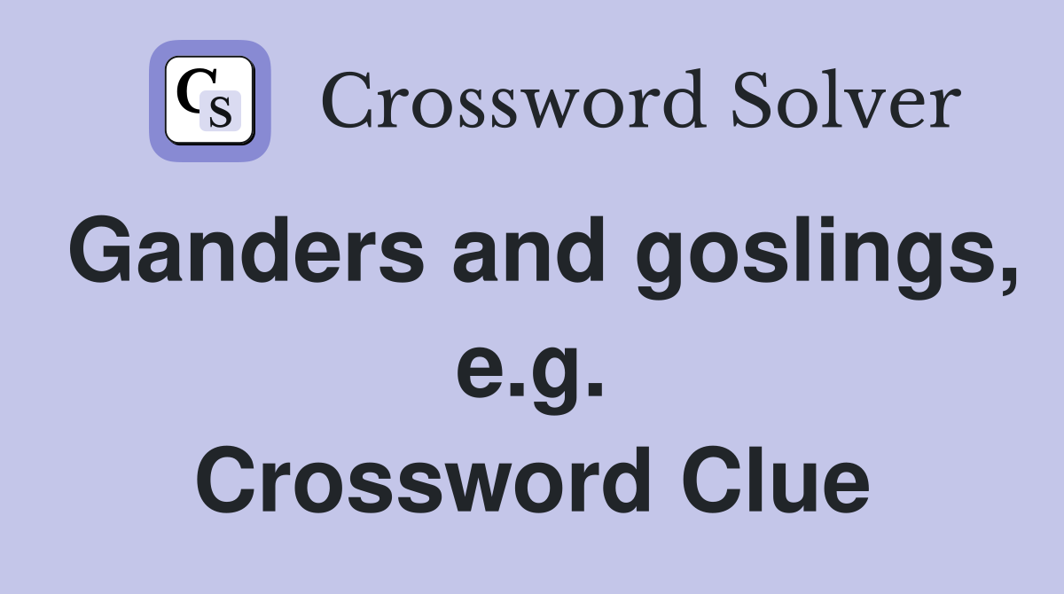 Ganders and goslings, e.g. Crossword Clue
