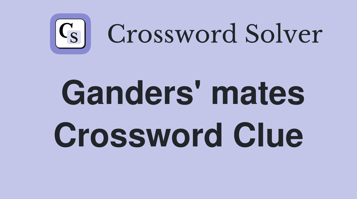 Ganders' mates Crossword Clue