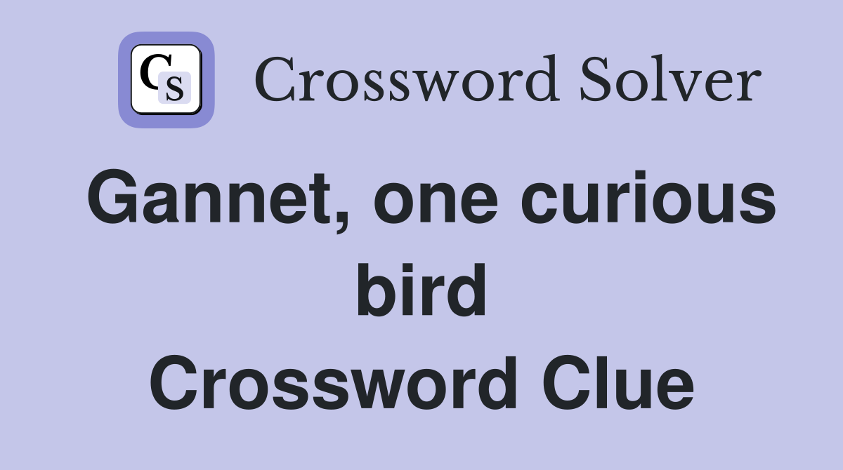 Gannet, one curious bird Crossword Clue