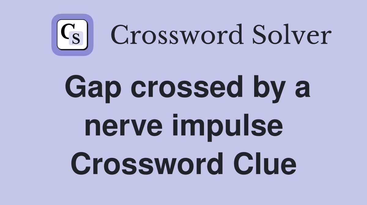 Gap crossed by a nerve impulse Crossword Clue