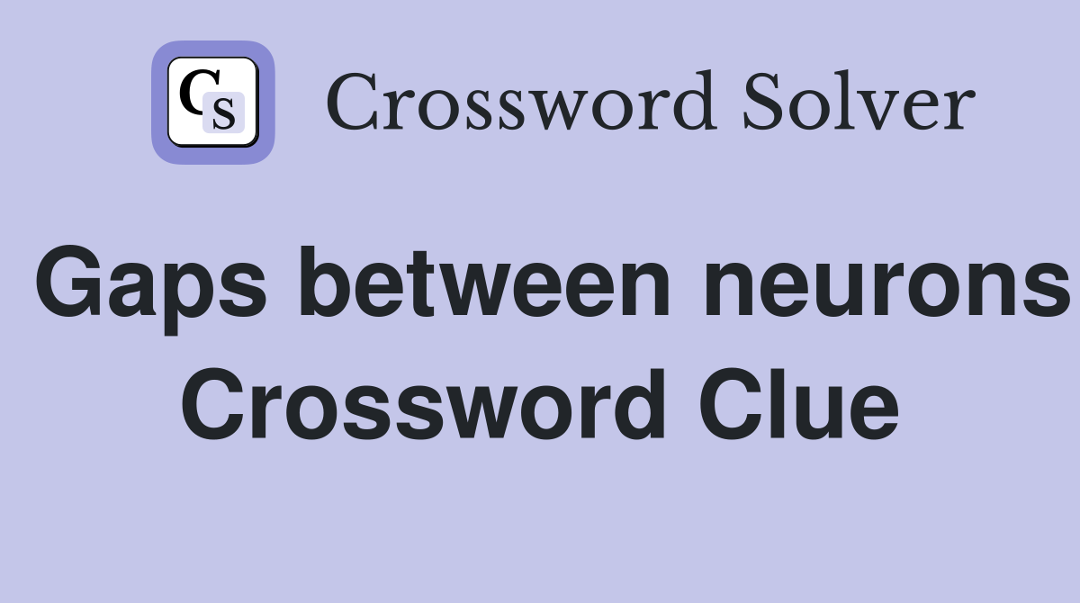 Gaps between neurons Crossword Clue