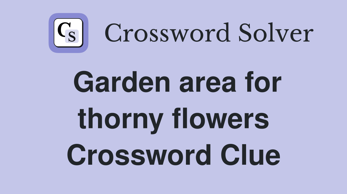 Garden area for thorny flowers Crossword Clue