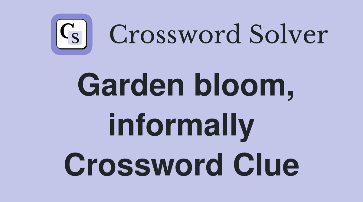 Garden bloom, informally Crossword Clue