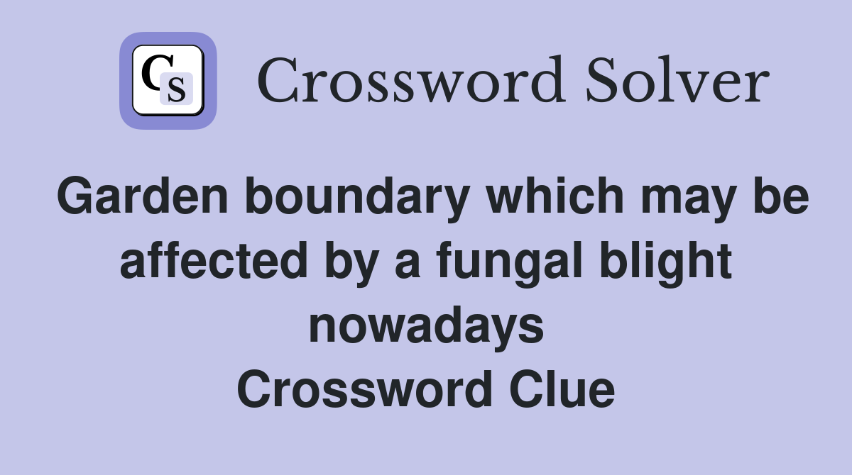 Garden boundary which may be affected by a fungal blight nowadays Crossword Clue