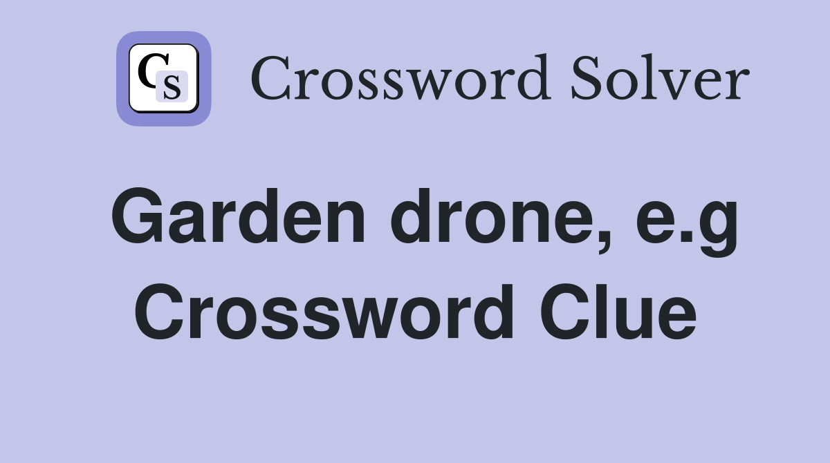 Garden drone, e.g Crossword Clue