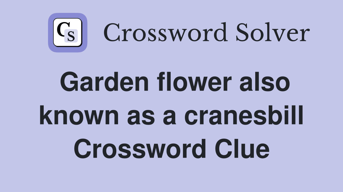 Garden flower also known as a cranesbill Crossword Clue