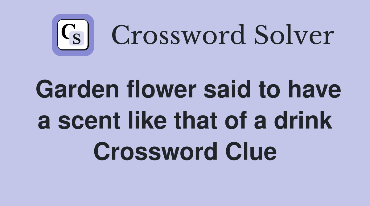 Garden flower said to have a scent like that of a drink Crossword Clue