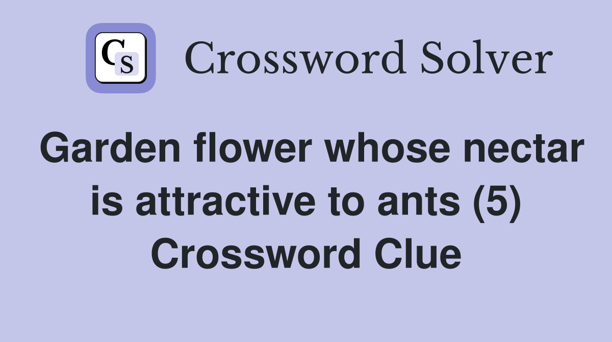 Garden flower whose nectar is attractive to ants (5) Crossword Clue