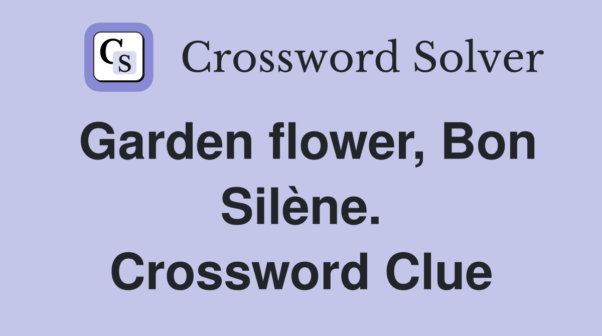 Garden flower, Bon Silène. Crossword Clue
