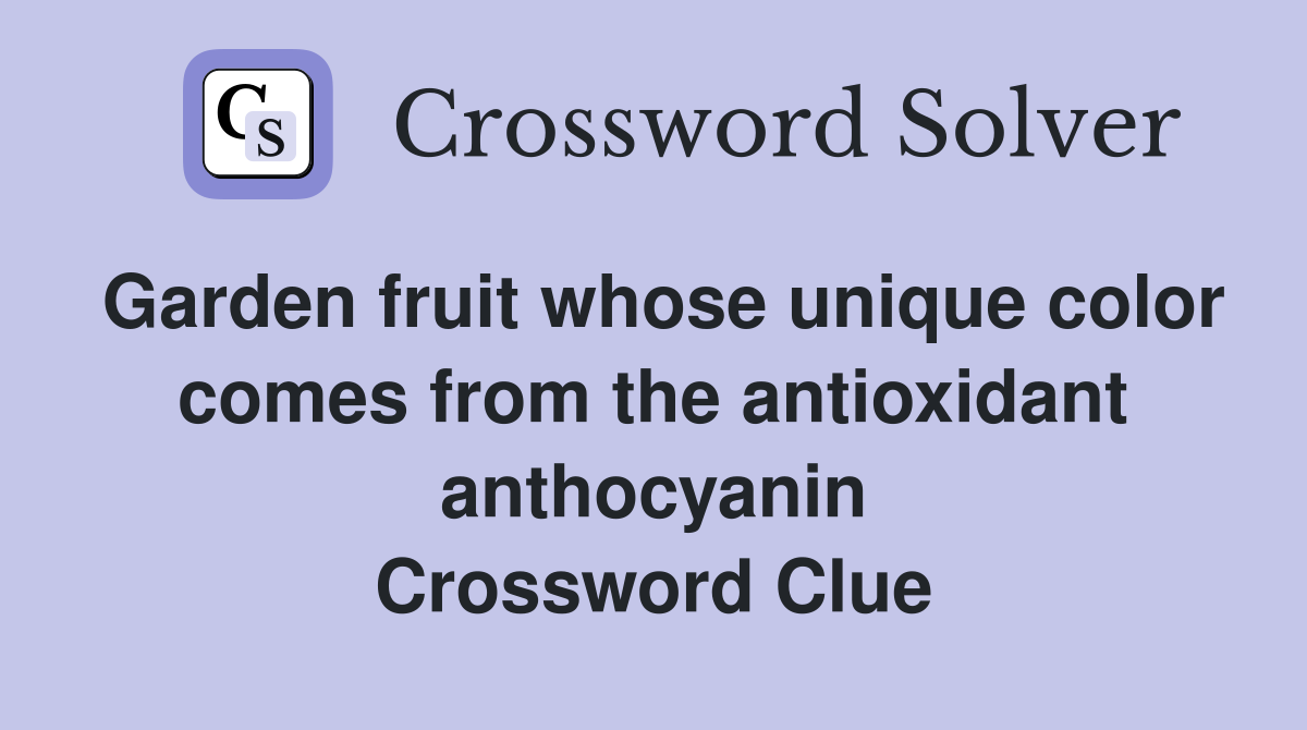 Garden fruit whose unique color comes from the antioxidant anthocyanin Crossword Clue