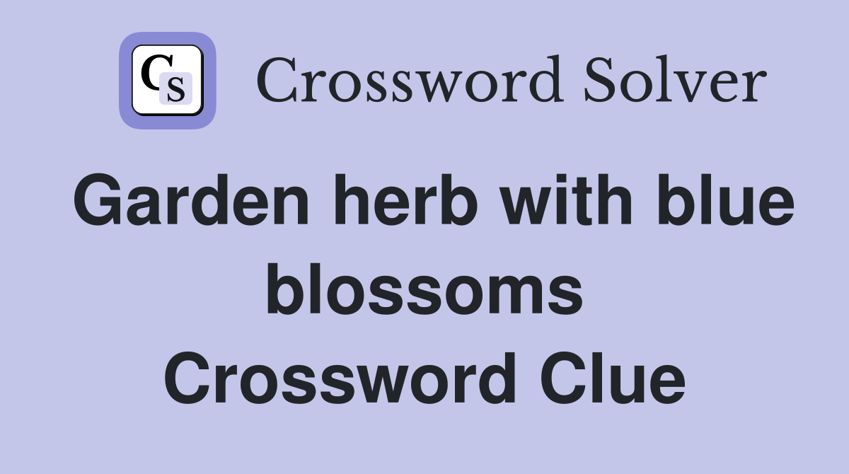 Garden herb with blue blossoms Crossword Clue