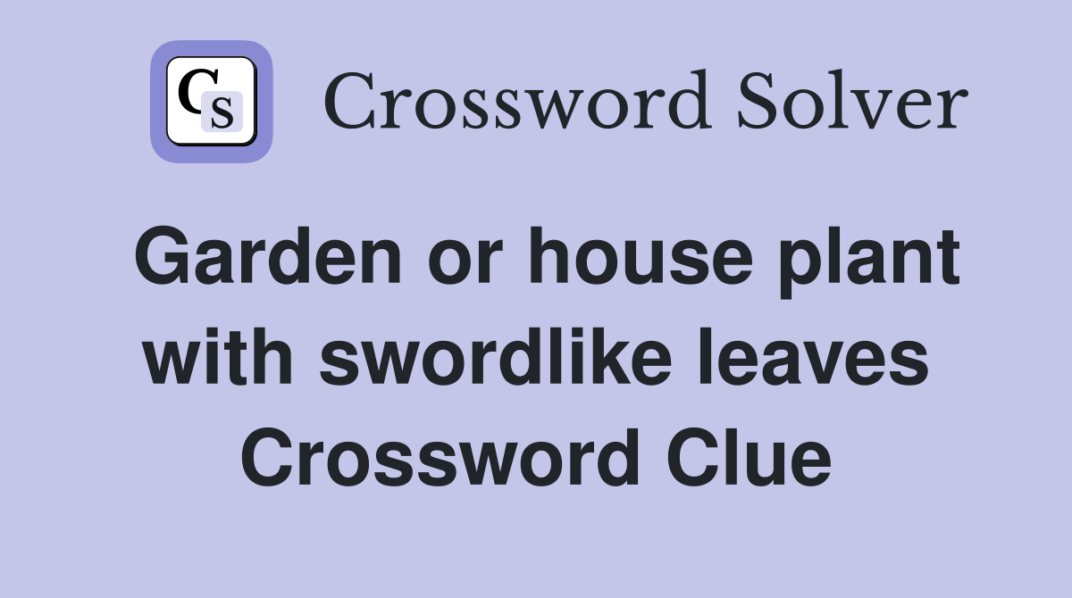 Garden or house plant with swordlike leaves Crossword Clue