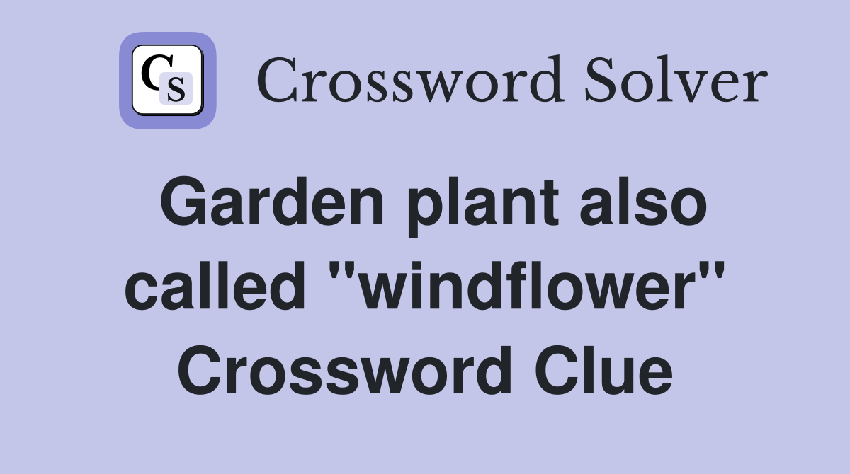 Garden plant also called "windflower" Crossword Clue