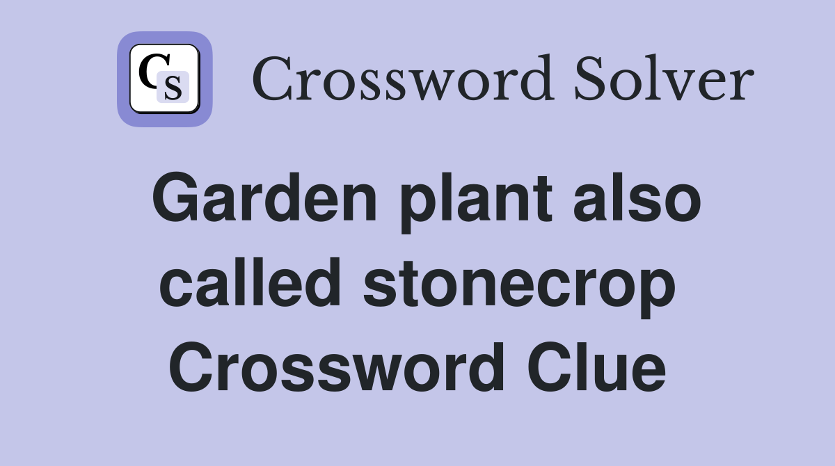 Garden plant also called stonecrop Crossword Clue