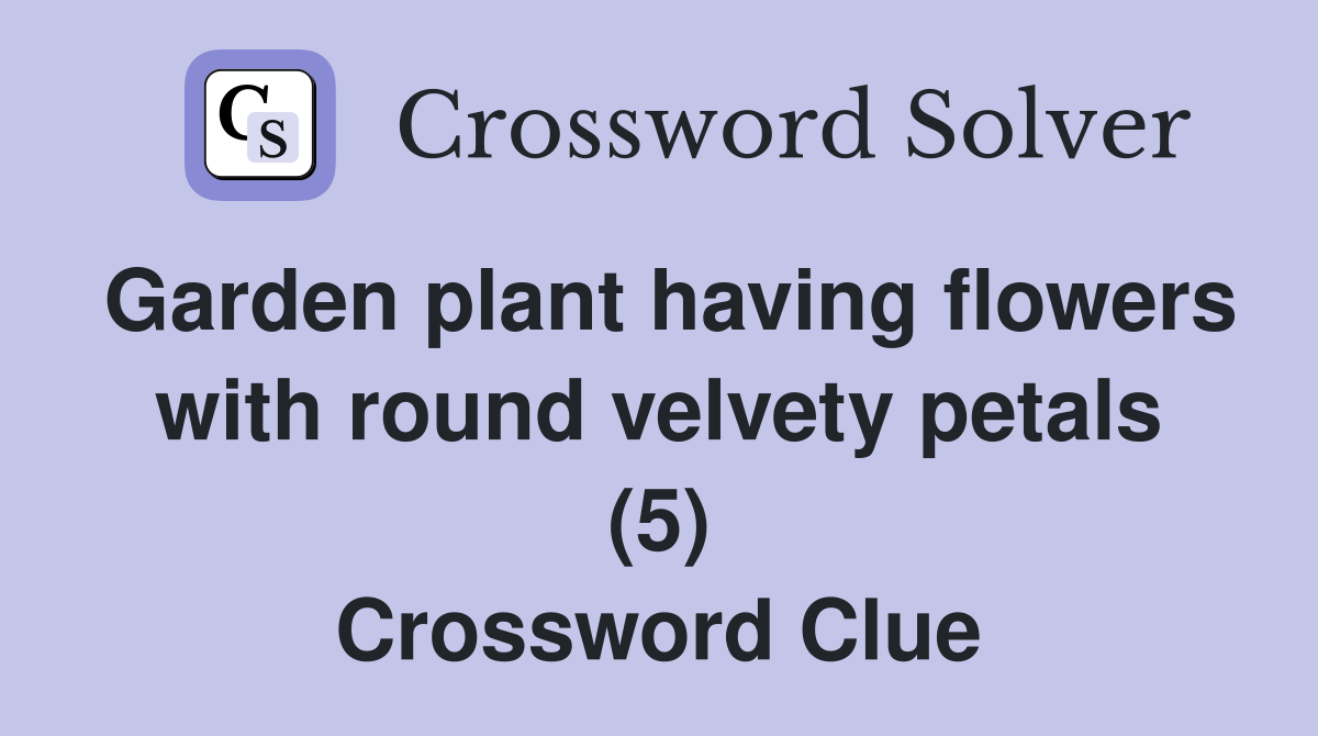 Garden plant having flowers with round velvety petals (5) Crossword Clue