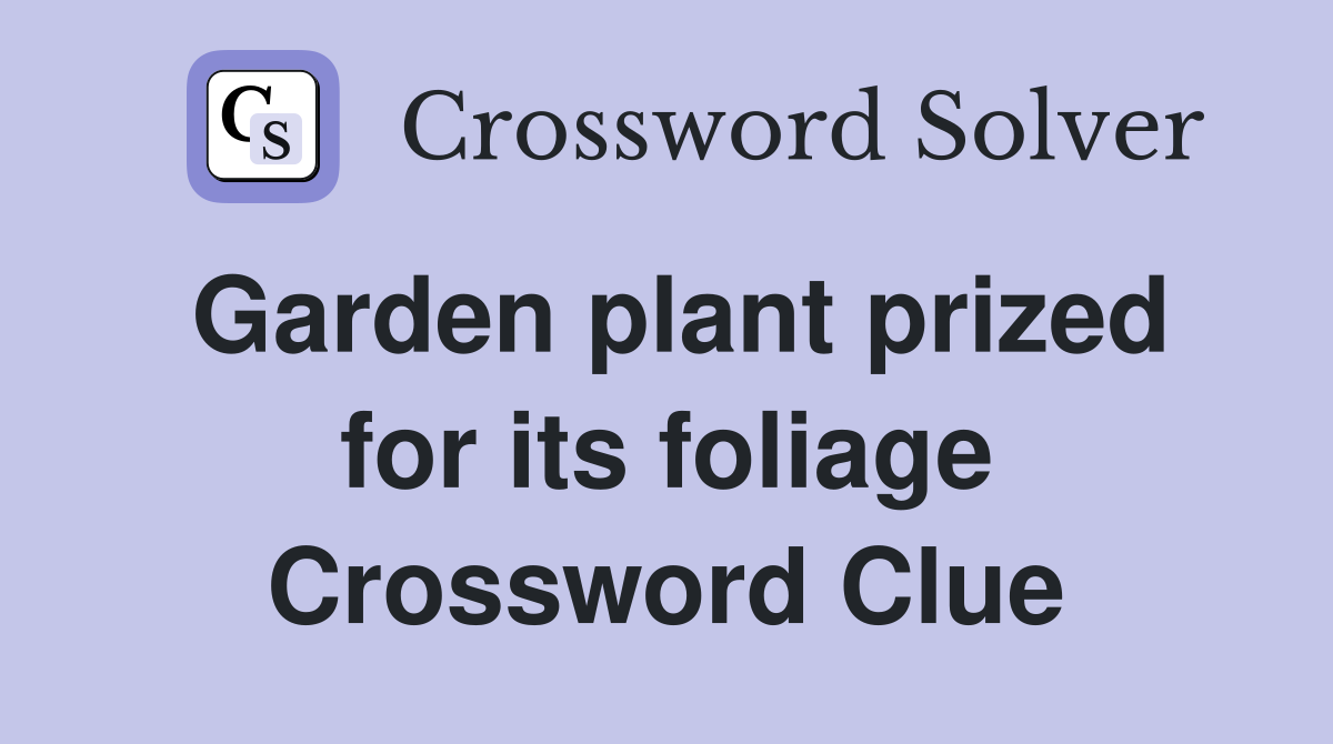 Garden plant prized for its foliage Crossword Clue