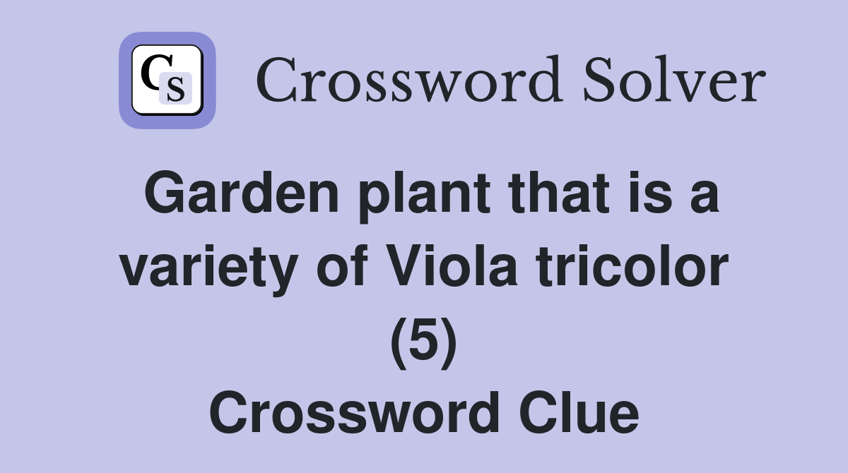 Garden plant that is a variety of Viola tricolor (5) Crossword Clue