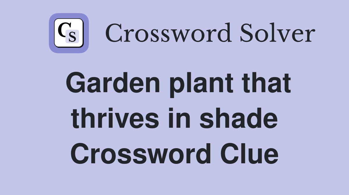 Garden plant that thrives in shade Crossword Clue