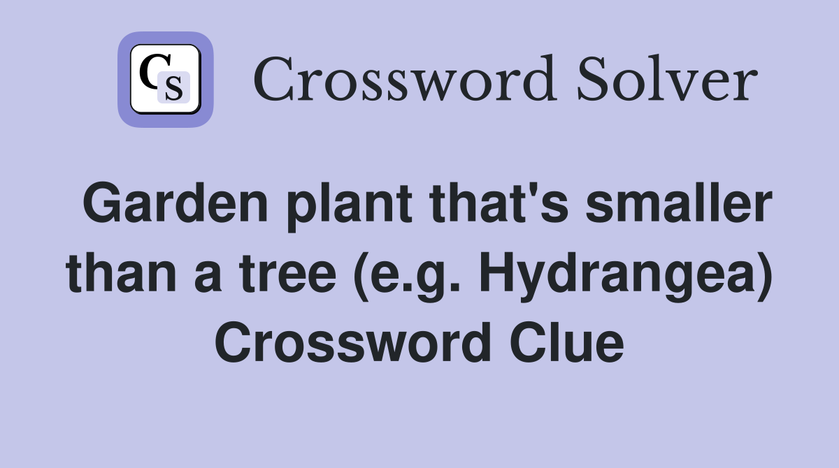 Garden plant that's smaller than a tree (e.g. Hydrangea) Crossword Clue
