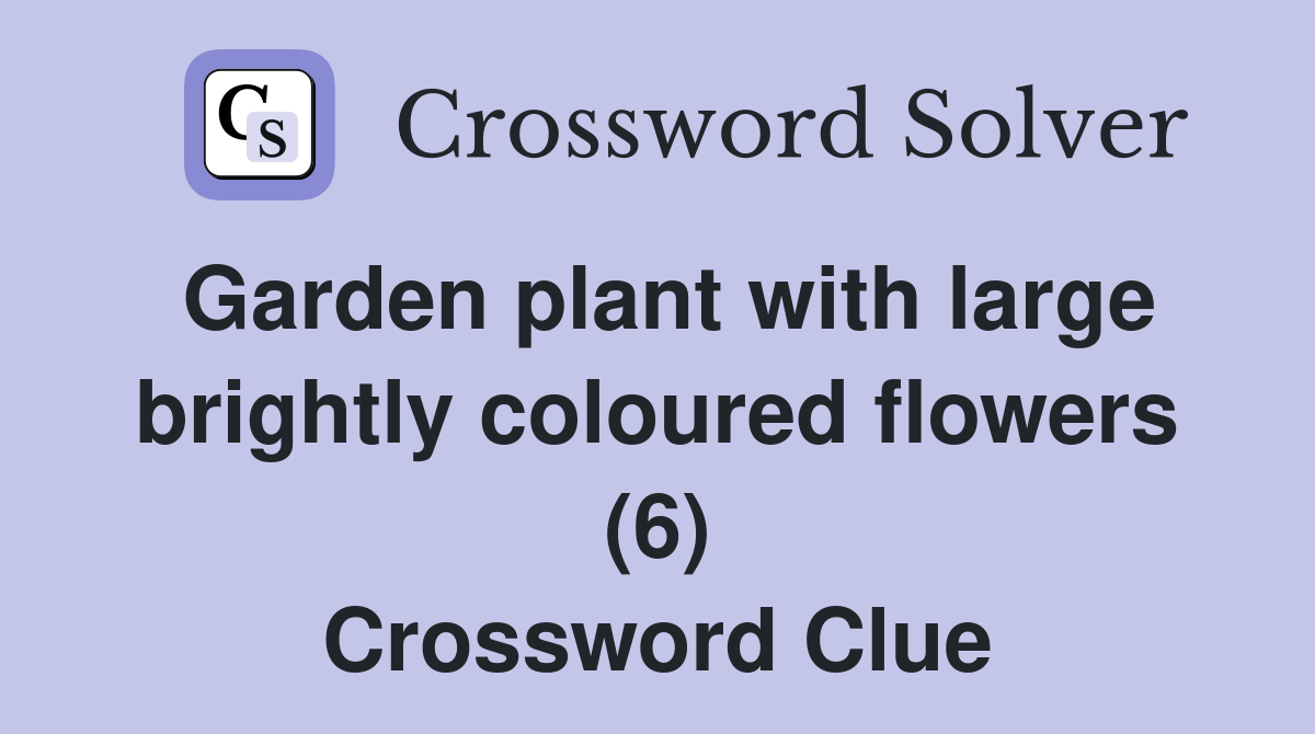 Garden plant with large brightly coloured flowers (6) Crossword Clue