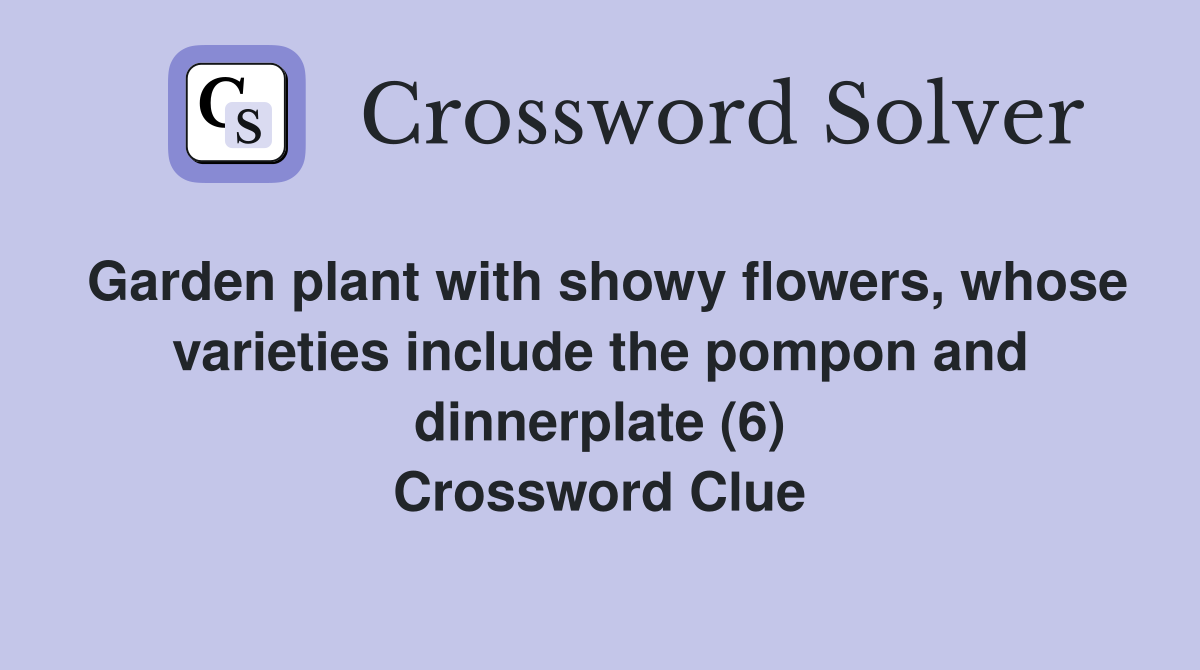 Garden plant with showy flowers, whose varieties include the pompon and dinnerplate (6) Crossword Clue