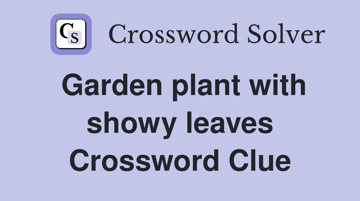 Garden plant with showy leaves Crossword Clue