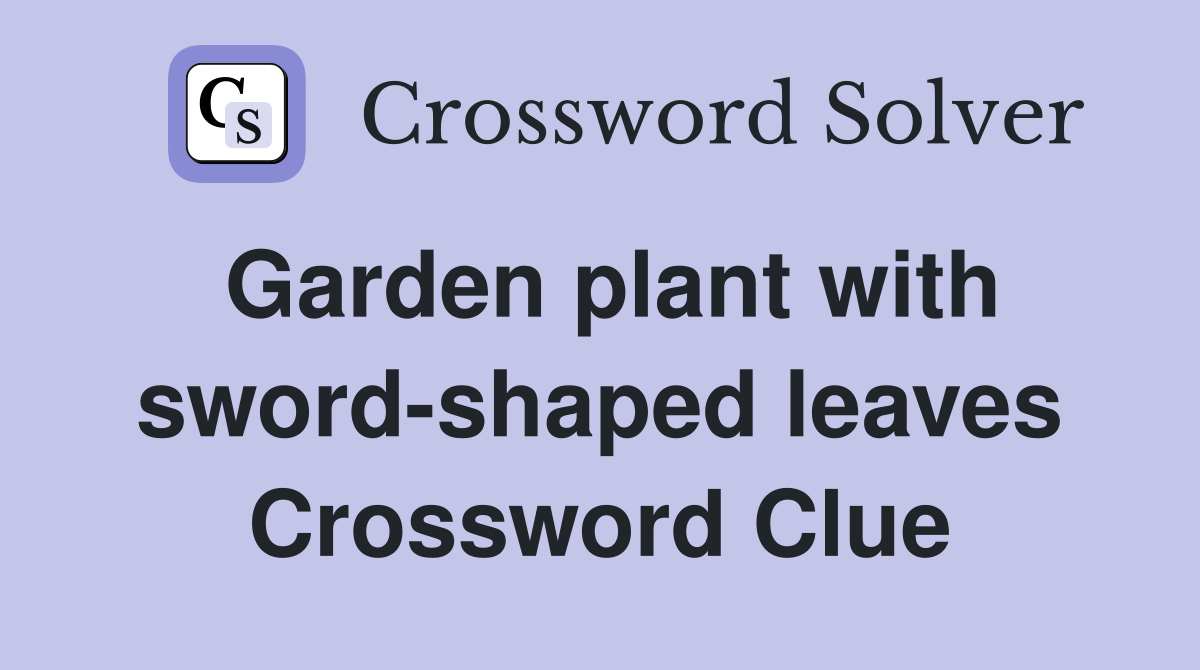 Garden plant with sword-shaped leaves Crossword Clue