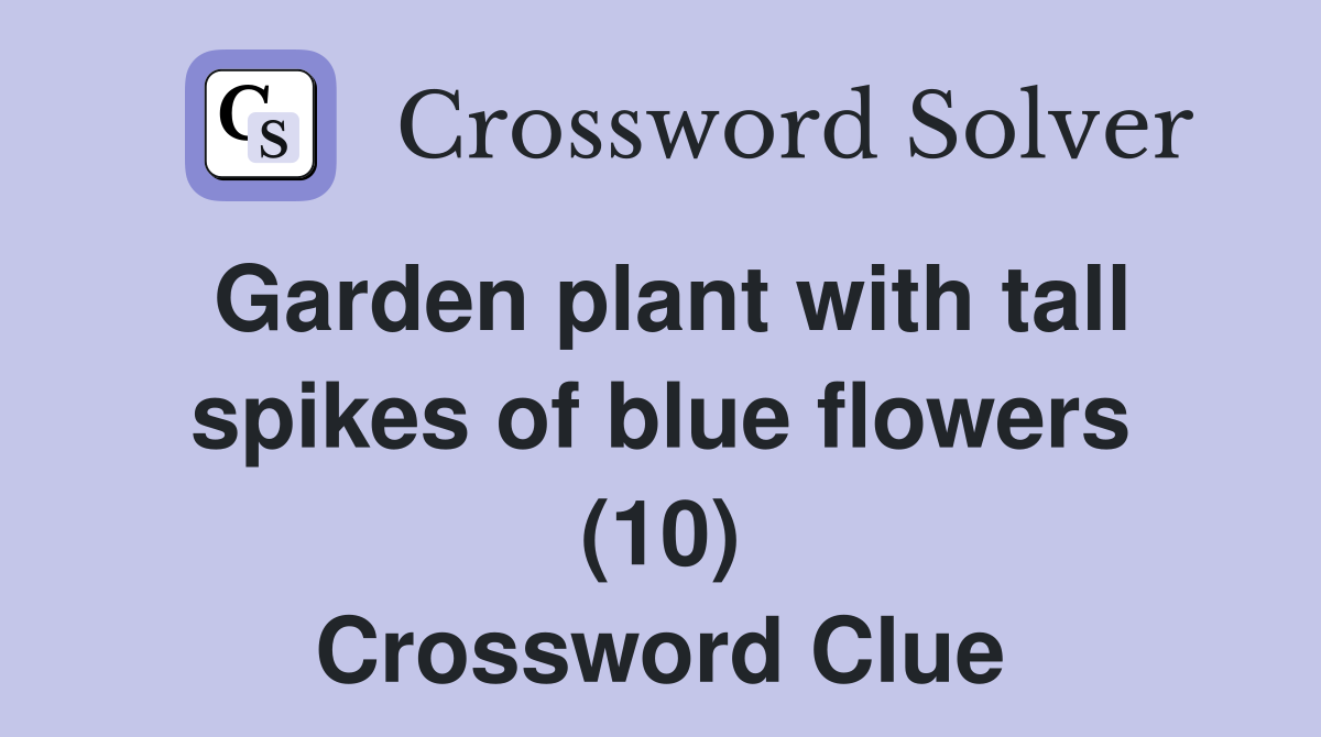 Garden plant with tall spikes of blue flowers (10) Crossword Clue