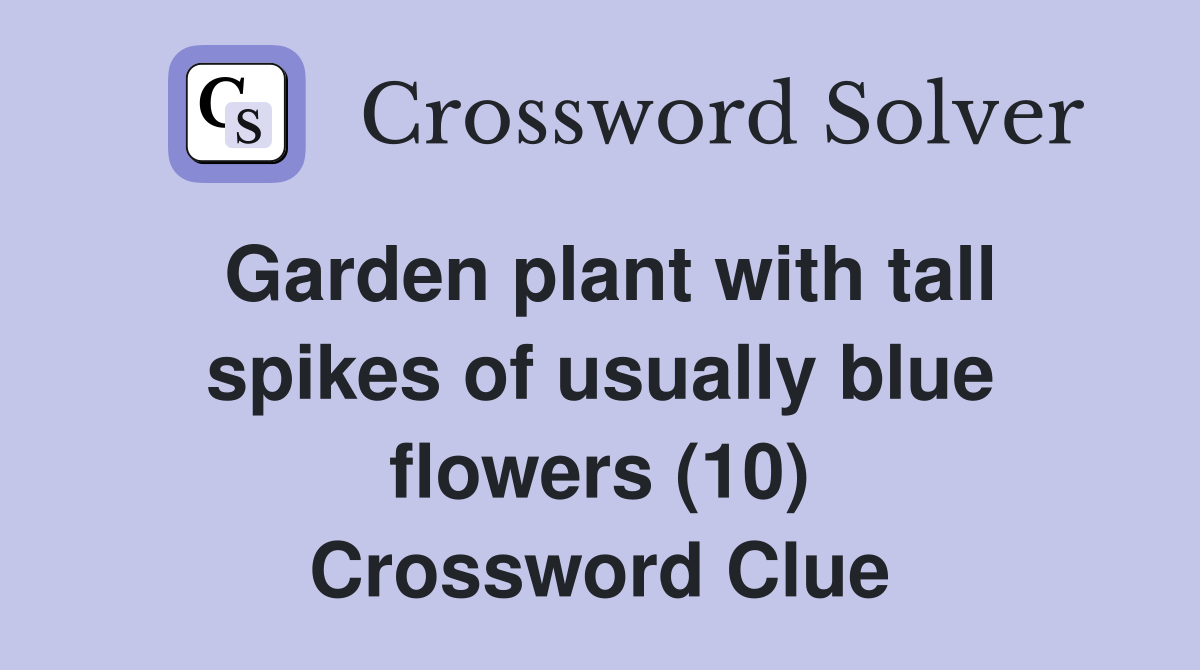 Garden plant with tall spikes of usually blue flowers (10) Crossword Clue